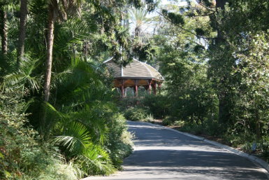 Royal Botanic Gardens Victoria - Accommodation Cairns 0