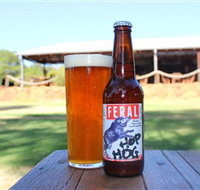 Feral Brewing Company - Accommodation Cairns