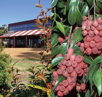 Bushfood Factory and Cafe - Accommodation Cairns