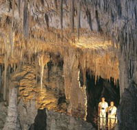 Mammoth Cave - Accommodation Cairns