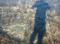 Jervis Bay Stand Up Paddle - Accommodation Cairns 3