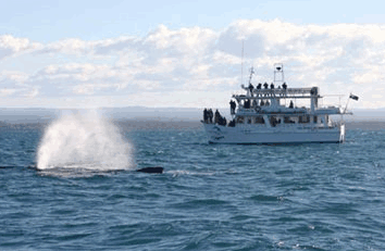 Huskisson NSW Accommodation Cairns