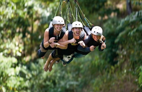 AJ Hackett Cairns - Accommodation Cairns 4