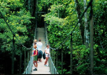 BTS Tours Pty Ltd - Accommodation Cairns 4