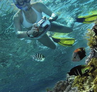 Calypso Reef Charters - Accommodation Cairns