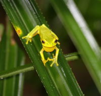 Daintree River Cruise Centre - Accommodation Cairns