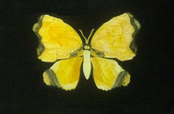 Home Hill QLD Accommodation Cairns