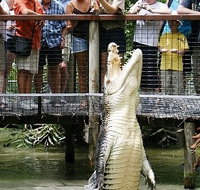 Hartley's Crocodile Adventures - Accommodation Cairns