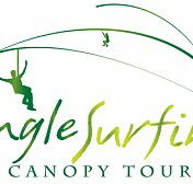 Jungle Surfing Canopy Tours and Jungle Adventures Nightwalks - Accommodation Cairns