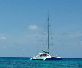 Synergy Reef Sailing - Accommodation Cairns 5