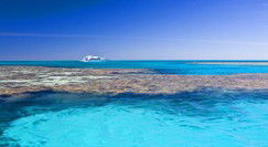 Reef Jet Cruises - Accommodation Cairns 0