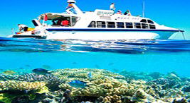 Reef Jet Cruises - Accommodation Cairns 2