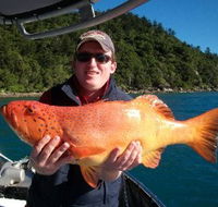 Gone Fishing by Coral Sea Fishing Charters Airlie Beach - Accommodation Cairns