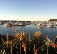 Mantaray Charters - Accommodation Cairns