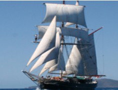 Adventure Catamarans Dive And Sail - Accommodation Cairns 0