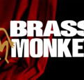 The Brass Monkey - Accommodation Cairns