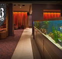 AB Hotel - Accommodation Cairns