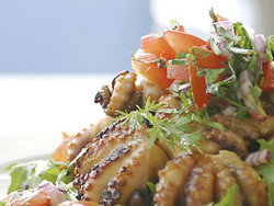 Nicks Bar And Grill - Accommodation Cairns 0