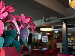 The Buckland Hotel - Accommodation Cairns 1