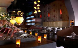 Ocean Room - Accommodation Cairns 1