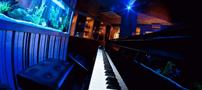 Saks Restaurant & Bar - Accommodation Cairns 2