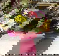 Bahia Restaurant - Accommodation Cairns