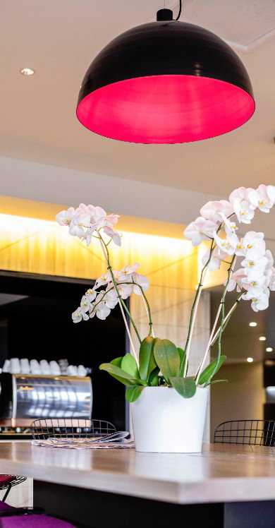 MRepublic Restaurant, Bar And Lounge - Accommodation Cairns 4