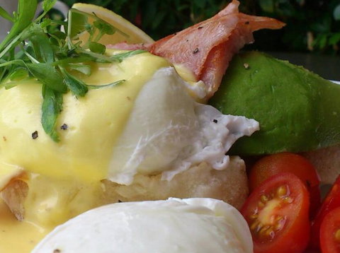 Vroom Bistro - Accommodation Cairns 4