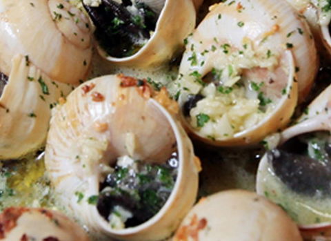 La Porte Verte - Accommodation Cairns 1