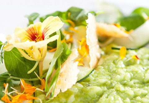 The Villager - Accommodation Cairns 2