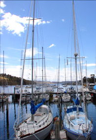 Oyster Cove Inn - Accommodation Cairns 0