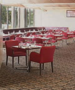 Trinity Bar And Restaurant - Accommodation Cairns 2