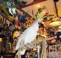 A Friend In Hand - Accommodation Cairns