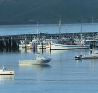 The Apollo Bay Hotel - Accommodation Cairns