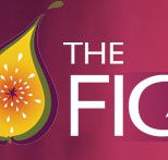 Wild Fig - Accommodation Cairns