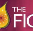 Naked Fig - Accommodation Cairns