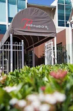 Ribaudos Ristorante - Accommodation Cairns 0