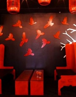 Soho Bar And Lounge - Accommodation Cairns 0