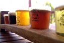 Moody Cow Brewery - Accommodation Cairns 1