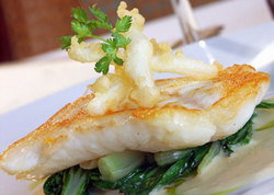 Oscars Sports Hotel - Accommodation Cairns 2