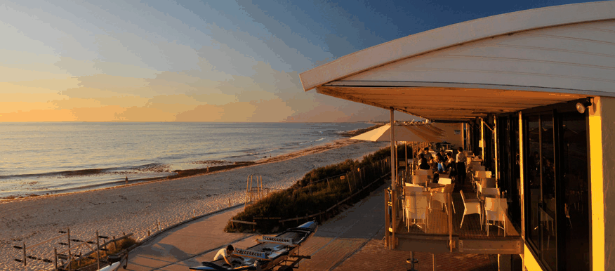 Blue Duck - Accommodation Cairns