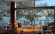 Bermagui Country Club - thumb 10