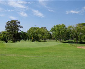Singleton Golf Club - Accommodation Cairns 1