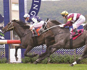 Gosford Race Club - Accommodation Cairns 0