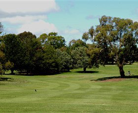 Cooma Golf Club - Accommodation Cairns 1