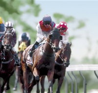 Colac Turf Club - Accommodation Cairns