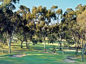 Tanunda Pines Golf Club - Accommodation Cairns 0