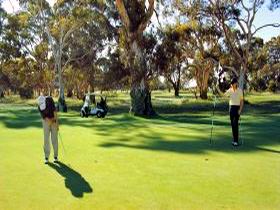 Tanunda Pines Golf Club - Accommodation Cairns 1