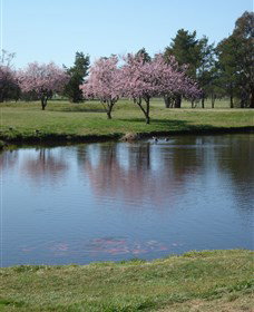 RMC Golf Club - Accommodation Cairns 0