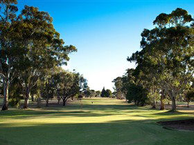 Loxton Golf Club - Accommodation Cairns 0
